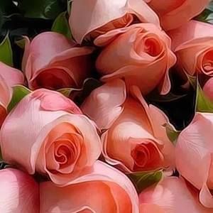 Meet your Posher, Charlene